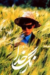 The Color of Paradise (Rang-e khoda)