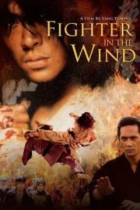 Fighter in the Wind (Baramui paiteo)