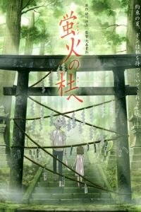 To the Forest of Firefly Lights (Hotarubi no mori e)