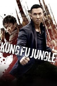 Kung Fu Killer (Yi ge ren de wu lin)