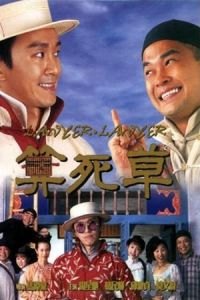 Lawyer Lawyer (Suen sei cho)