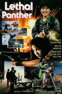 Lethal Panther (Jing tian long hu bao)