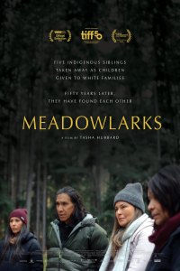 Meadowlarks