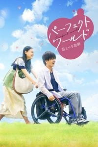 Perfect World (Pafekuto warudo)