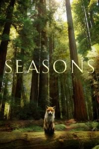 Seasons (Les saisons)