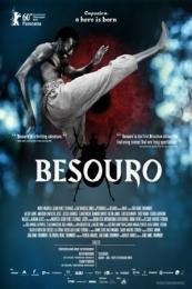 The Assailant (Besouro)