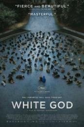 White God (Feher isten)