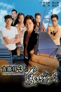 Young and Dangerous 3 (Goo waak zai 3: Jek sau je tin)