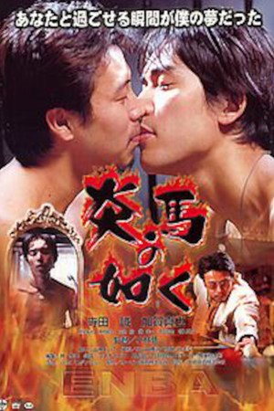 Like a Fiery Horse (2000)
