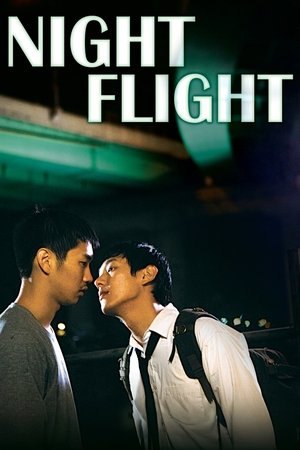Night Flight (2014)